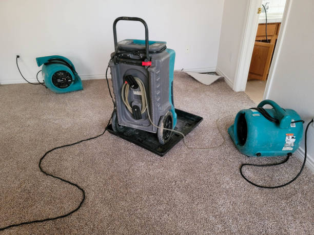 Best Local water damage restoration  in Fredonia, NY