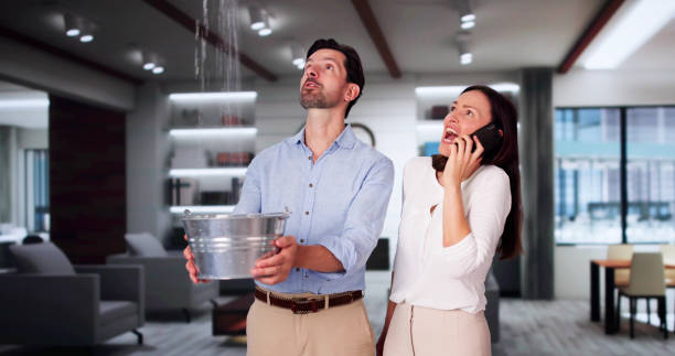 Best Water damage restoration near me  in Fredonia, NY